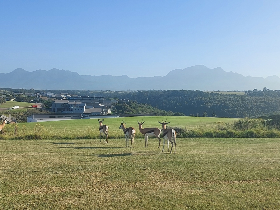 0 Bedroom Property for Sale in Oubaai Western Cape